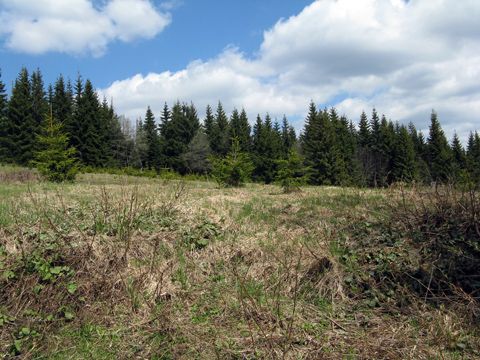 Foto 21